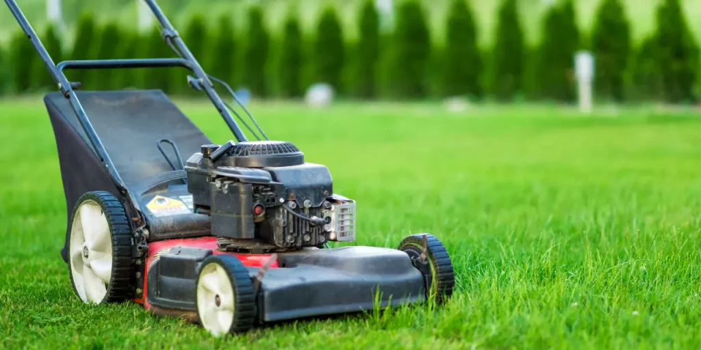 Lawn Care Scams in Spring